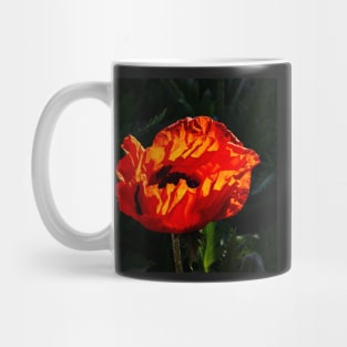 Red poppy blossom highlighted by the morning sunshine Mug